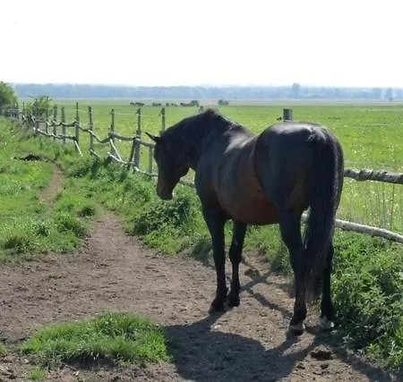 Im Gruenen * Gramzow