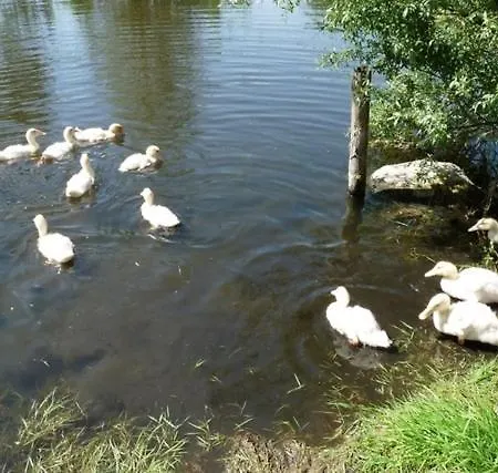 Holiday home Im Gruenen *