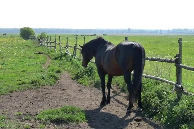 Im Gruenen * Gramzow