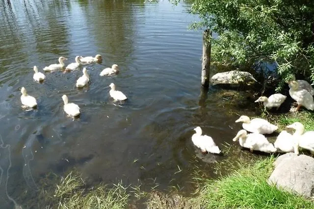 Dom wakacyjny Im Gruenen *